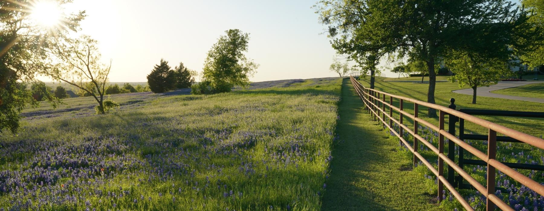 a fenced in field with trees and flowers